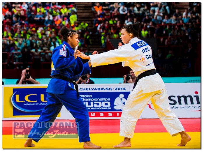 Paris 2014 by P.Lozano cat -70 kg_PLM5573